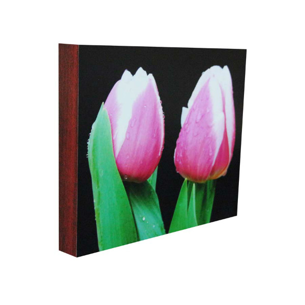 กรอบลอยภาพถ่าย